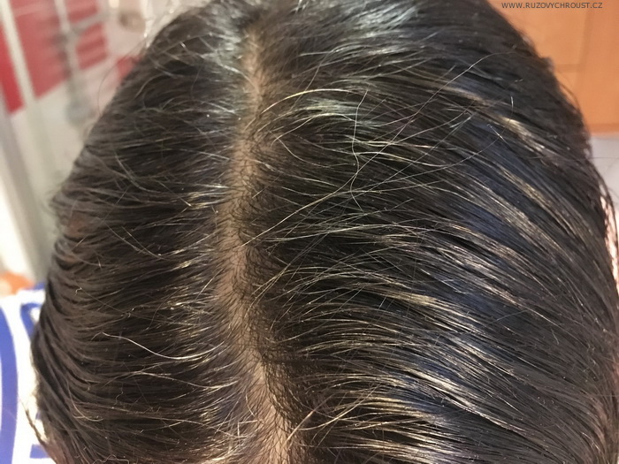 Zdravé barvení vlasů se Soaphoria - černá henna (recenze)