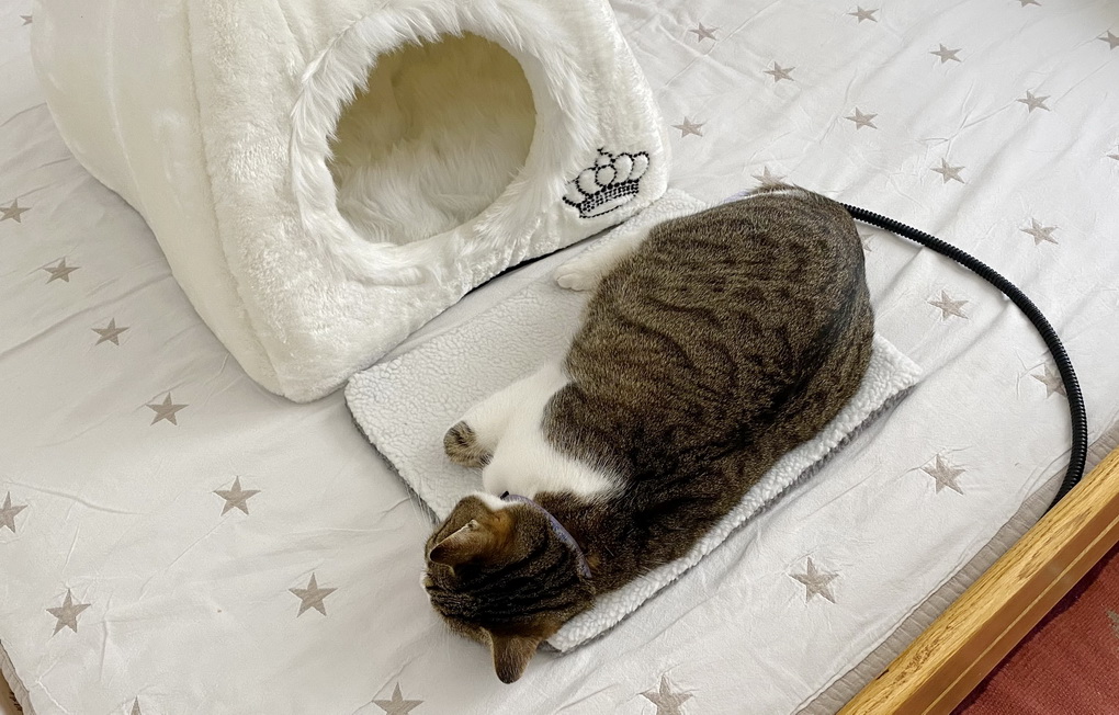 Vyhřívaný pelíšek pro kočku - plyšová kukaň