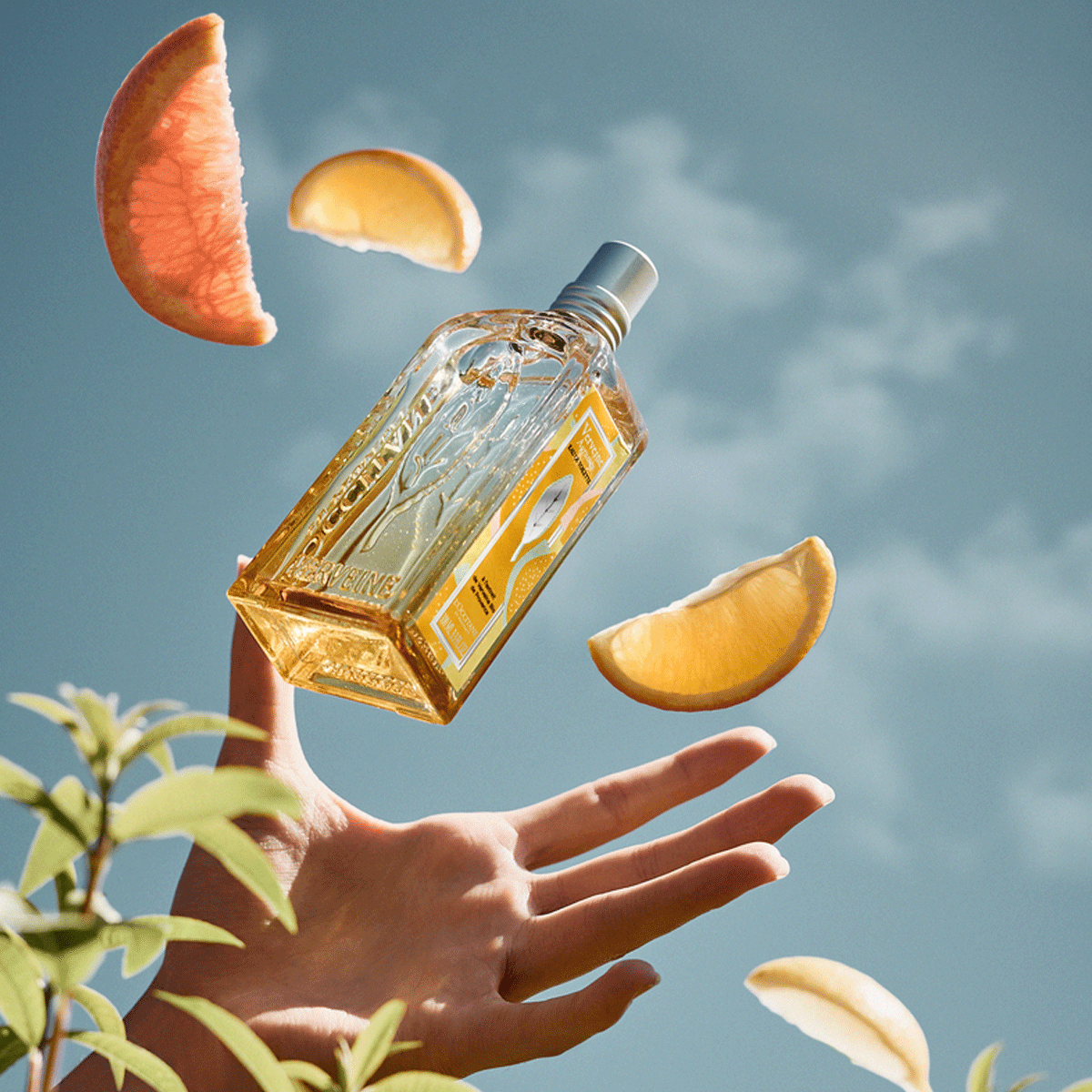 Citrus Verbena L'Occitane - nejlepší letní parfém