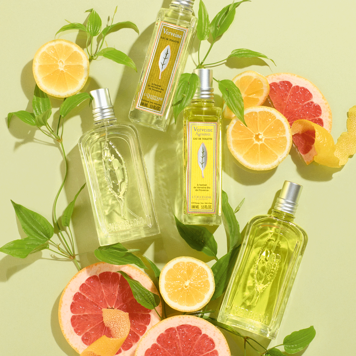 Citrus Verbena L'Occitane - nejlepší letní parfém