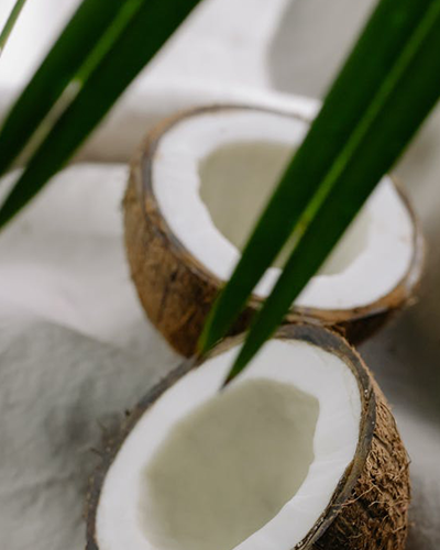 Urtekram hydratační vlasová řada s kokosem | šampon, kondicionér, krém na ruce a kondicionér ve spreji - 4 recenze
